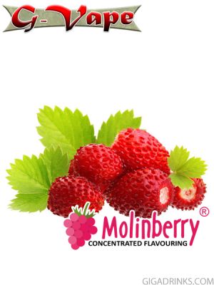 Wild Strawberry 10ml - концентриран аромат за овкусяване от Molinberry / G-Vape