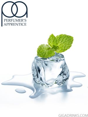 Wintergreen - аромат за никотинова течност The Perfumers Apprentice 10мл